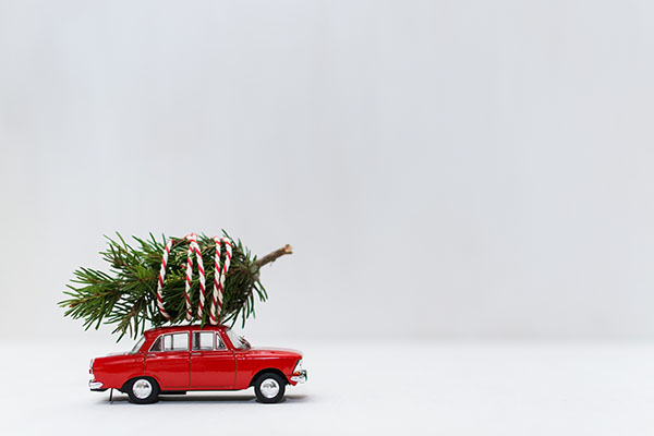 Festive Hauling: Safely Transporting Your Christmas Tree Home | KAMS Auto Service Center